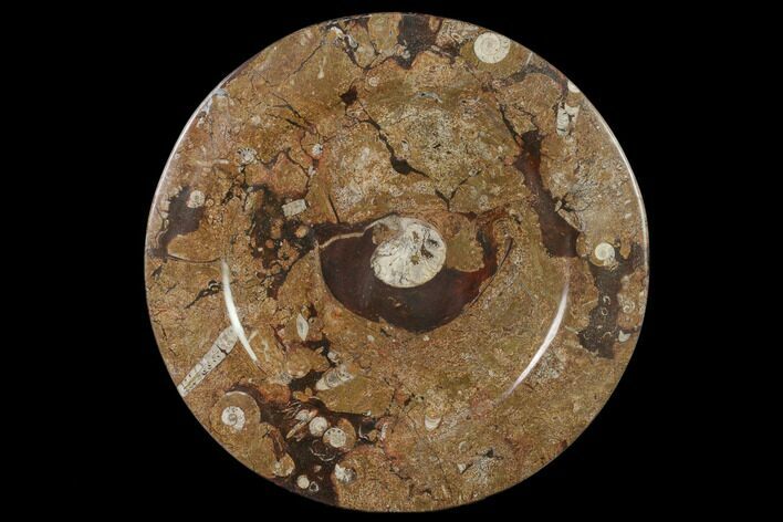 Fossil Orthoceras & Goniatite Round Plate - Stoneware #140063